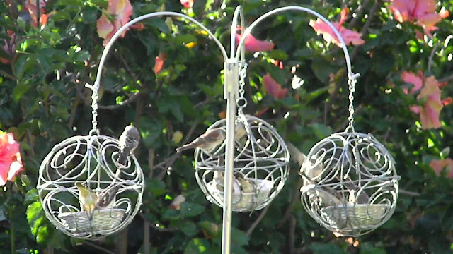 Ferris Wheel Bird Feeder