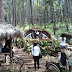 Baru! Wisata Unik 5 Rumah Hobbit Yang Mungil Dan Instagrammable