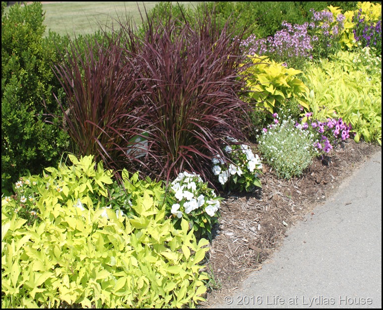 driveway border 3