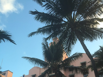 Street Styling at the Royal Hawaiian - Read more »