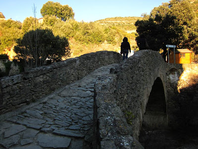 Romanesque bridge in Sant Miquel del Fai