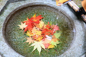 京都 柳谷観音 紅葉 なないろ手水