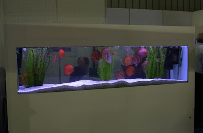 fish aquarium design