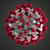Detroit Police Chief and 39 of his officers have tested positive for coronavirus
