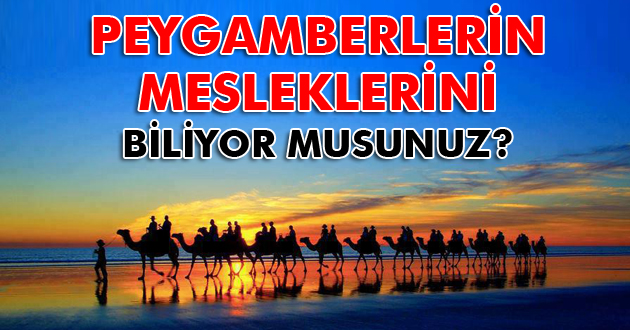 Peygamberlerin Meslekleri