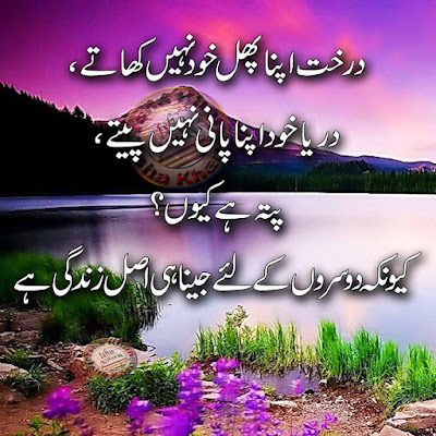 Aqwal-e-Zareen, Urdu Quotes