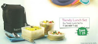 Tupperware Trendy Lunch Set