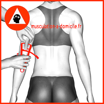 mesure triceps femme pince à plis cutanés adipomètre musculation fitness