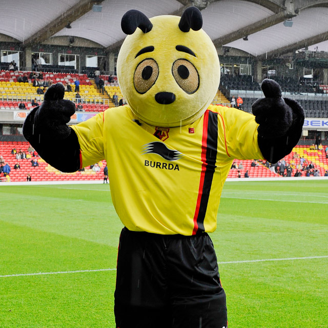     Harry the Hornet.   English Football Club Mascots.   Pinter  football club mascots