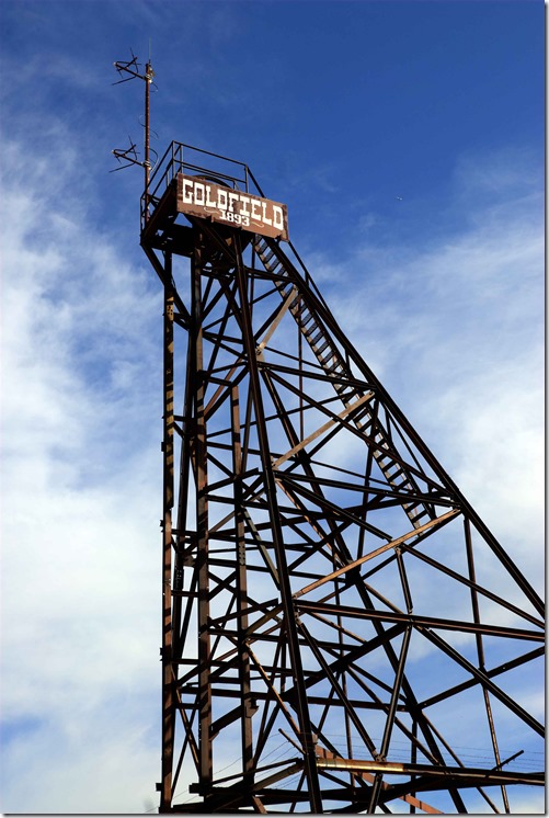 Goldfield 1