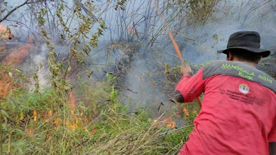 Polres Pelalawan Riau Amankan 2 Orang Pelaku Pembakaran Hutan dan Lahan 
