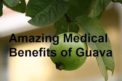 Amazing Medical Benefits of Guava