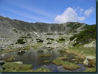 DSCN2492