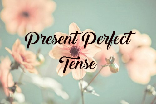 Materi, Rumus, dan Contoh Kalimat Present Perfect Tense 