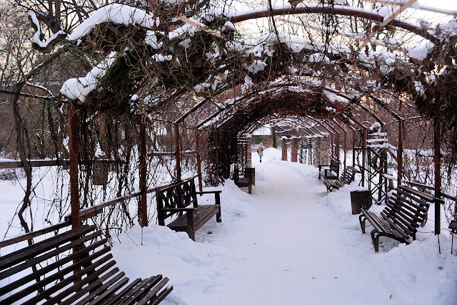 Pergola and Benches in Winter Park Covered with Snow