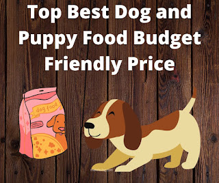 Best Dog and Puppy Food