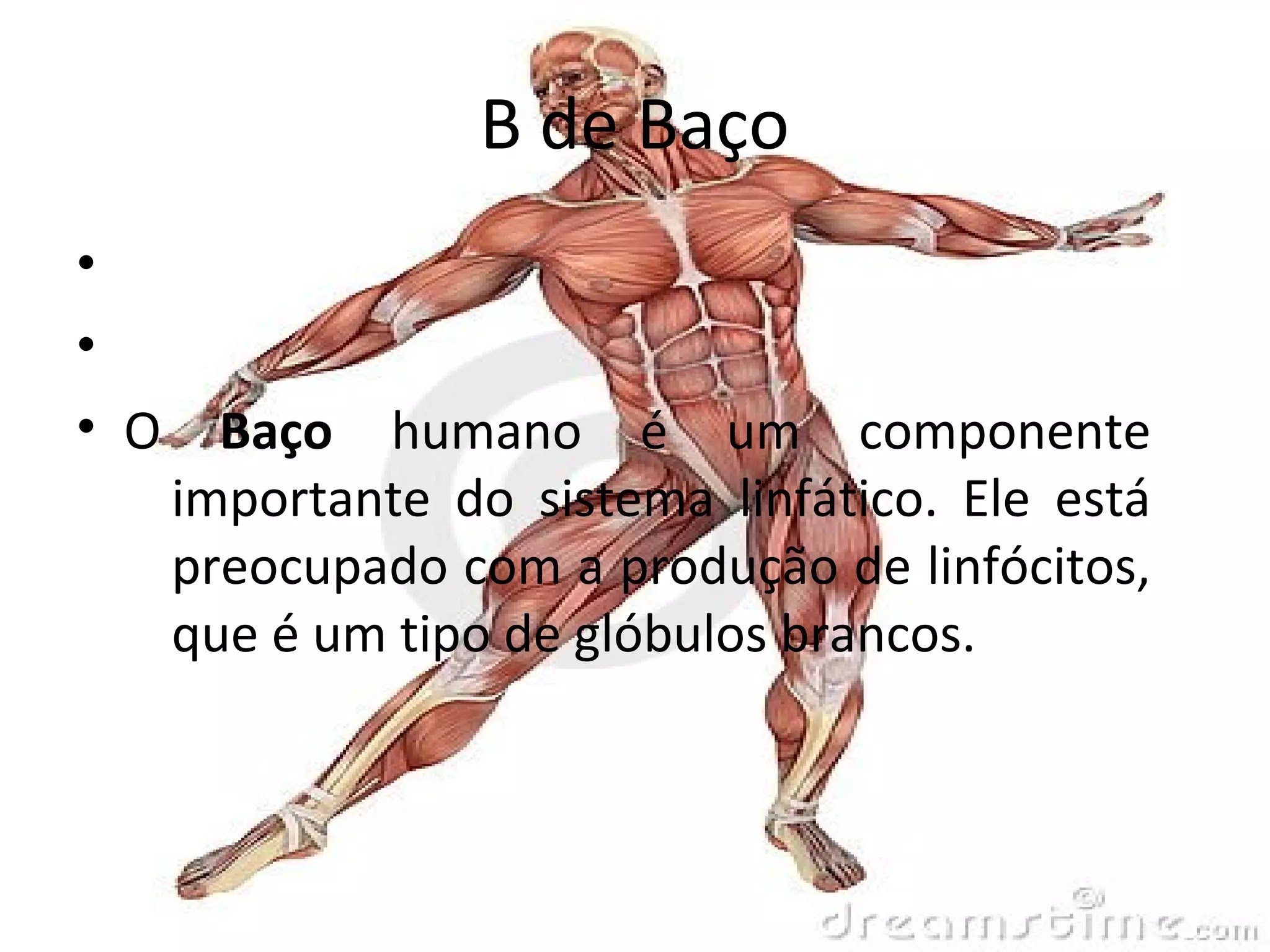 ALFABETO DO CORPO HUMANO