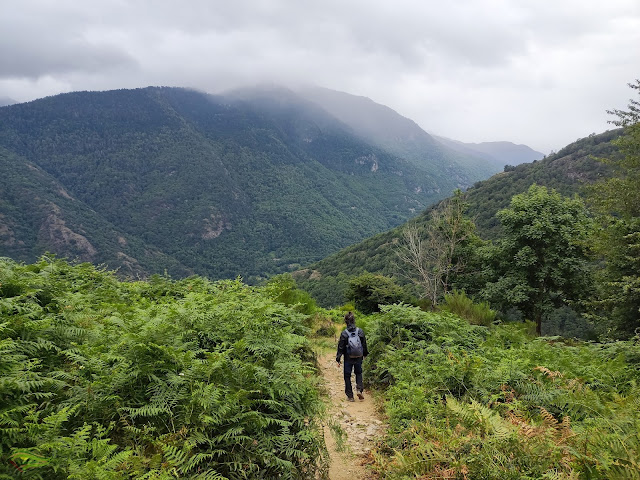 Ruta del Bosque Encantado de Carlac (Valle de Arán)