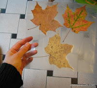 Autumn Leaves Paper3