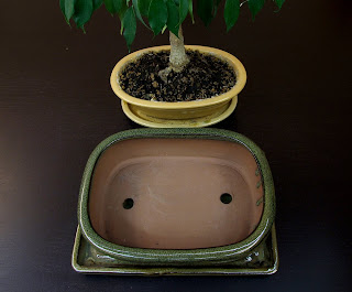 doniczka do bonsai