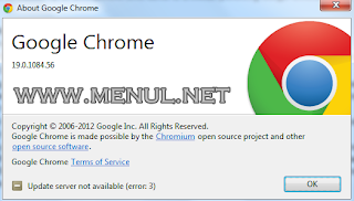 Google Chrome 19.0.1084.56 Offline Installer