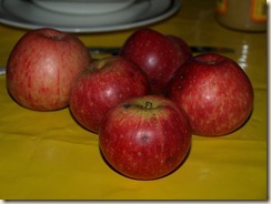 P9293045