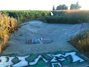 This random haven for skateboarders is awesome.