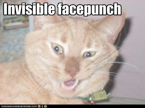 LOLcats - invisible object