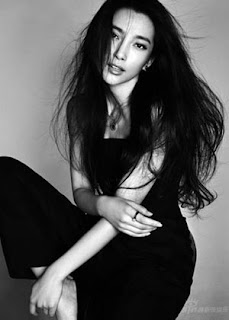 Li BingBing