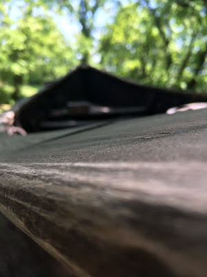 An extremely close photo of the tilted upper surface of the rail on a clinker-built ship. The wood is fine-grained and black-touched grey, with pale streaks on the edges where the wood has been worn. A round-headed copper rivet is just visible, nearly flush to the wood, and the rest of the ship curves away into the background, all in the dappled shade of tall trees.