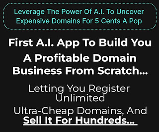 Build a profitable domain business from scratch!