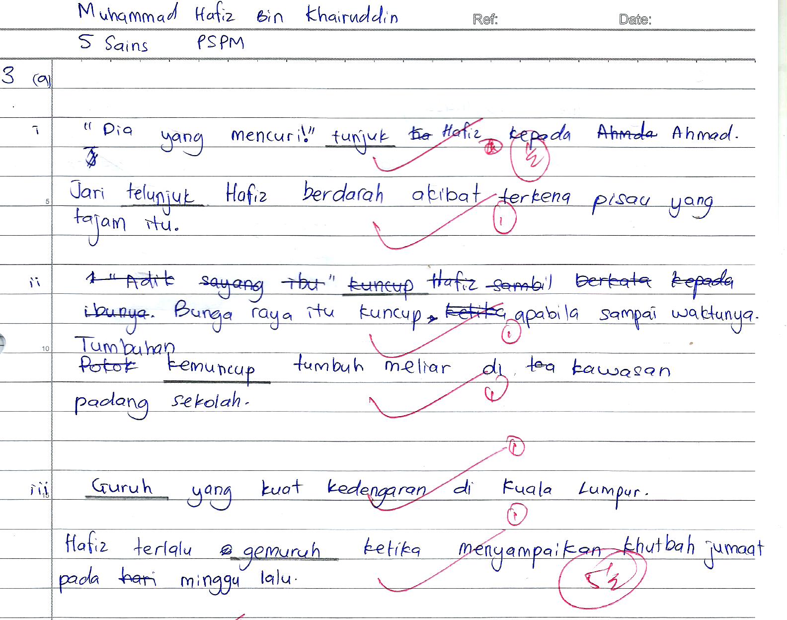 Laman Bahasa Melayu SPM: ULASAN SKRIP JAWAPAN SOALAN 