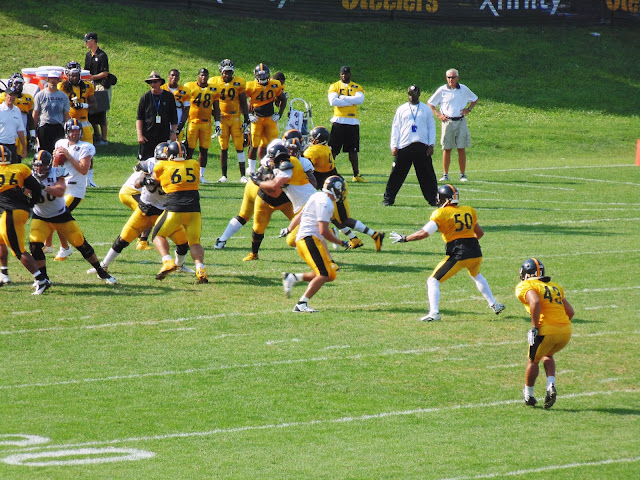 Steelers 2013 Practice