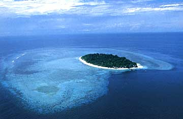 Barracuda Point: Sipadan Island, Malaysia