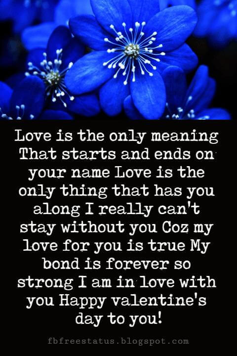 Happy Valentines Day Messages, Love is the only meaning That starts and ends on your name Love is the only thing that has you along I really can't stay without you Coz my love for you is true My bond is forever so strong I am in love with you Happy valentine's day to you!