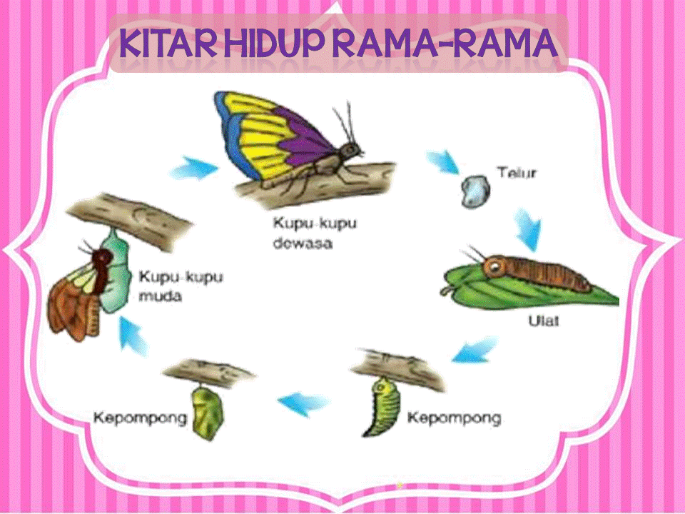 Dunia Sains dan Teknologi (Belajar dengan Ceria): DST 