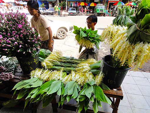 flower street market at Anawratha Road