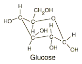 Sự thoái hóa của glucose