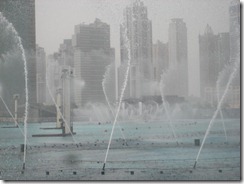 IMG_0799 IMG_0799
