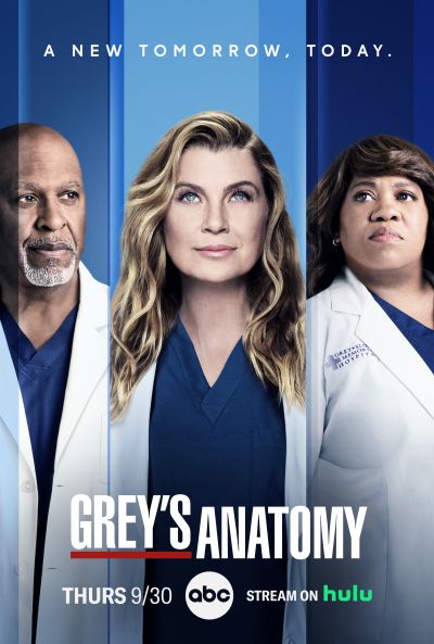 Greys Anatomy S20E08 — Blood, Sweat and Tears