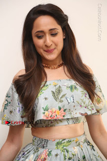 Actress Pragya Jaiswal Stills in Floral Dress at turodu Interview  0026.JPG