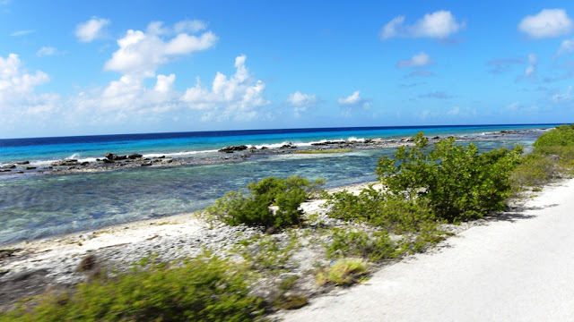 Salt Fields Bonaire