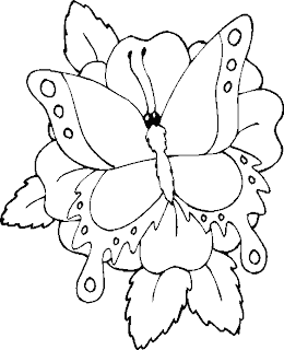 butterfly coloring pages,flower and butterfly coloring pages