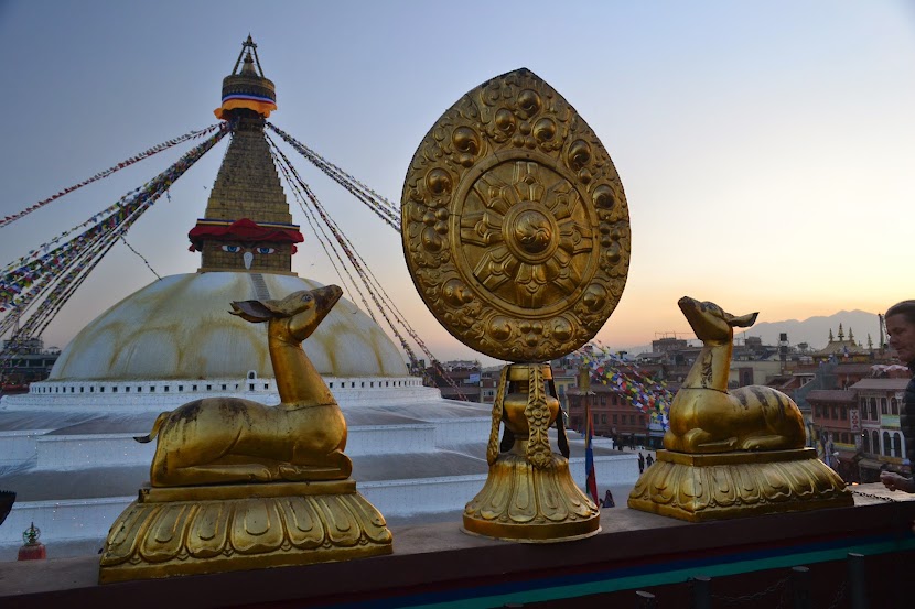 Himalayan Xpressions 