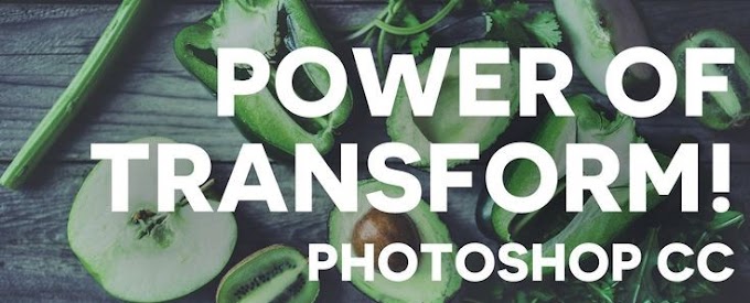 Transform tools in Adobe Photoshop Class - 11 [Adobe Photoshop for Beginners]