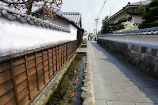 Penampakan got Saluran Air Di Jepang Yang Jernih dan Penuh Ikan