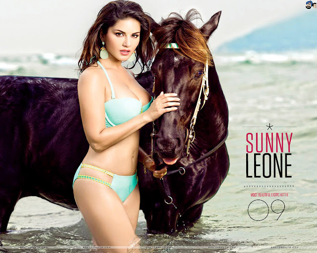 Sunny Leone Hot & Sexy Wallpapers