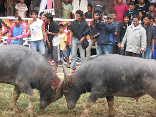 8 Upacara Adat Unik Khas Indonesia