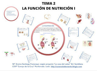 https://prezi.com/ppqmmurqpmxg/c-del-medio-6o-curso/