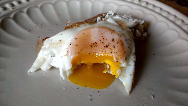 Fresh egg yolk